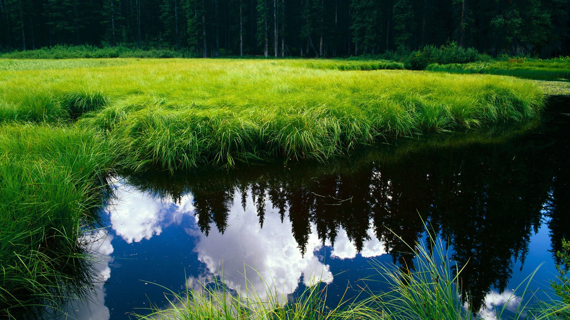 开云·Kaiyun网页版-【Jacob deGrom重回巅峰】大都会的王牌投手打出强硬表现，大都会 nava