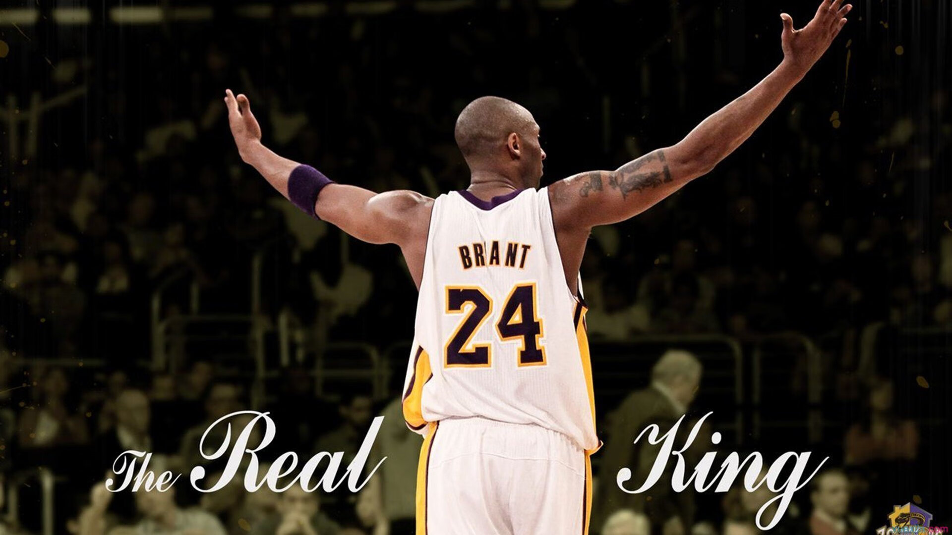 开云体育APP下载-职业联赛推广环保理念引导绿色办赛新风尚，环保竞赛的意义